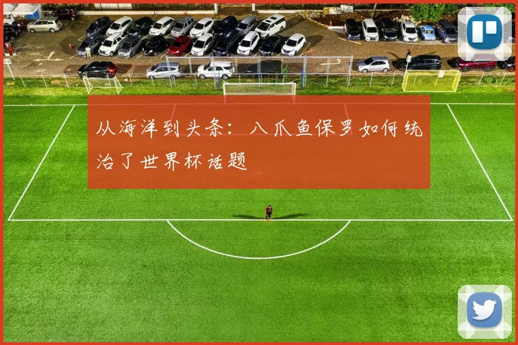 从海洋到头条:八爪鱼保罗如何统治了世界杯话题