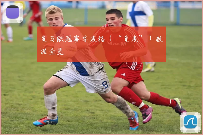 皇马欧冠赛季表格(“皇表”)数据全览