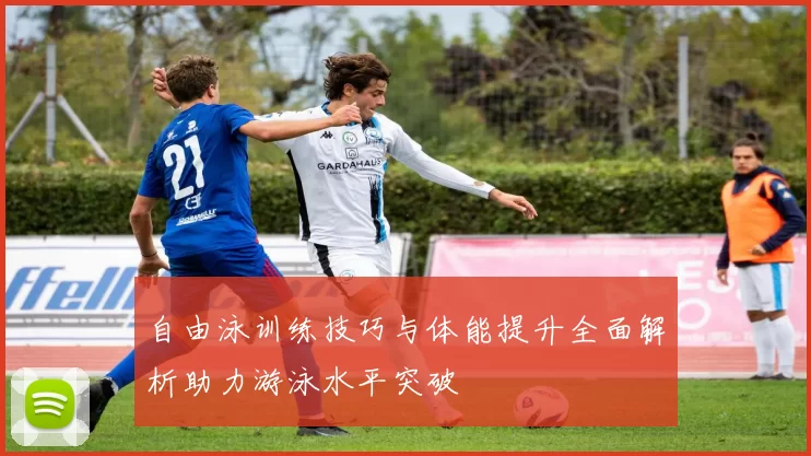 自由泳训练技巧与体能提升全面解析助力游泳水平突破