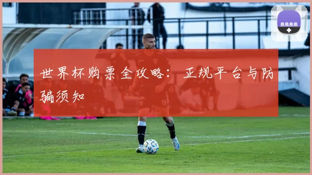 世界杯购票全攻略:正规平台与防骗须知