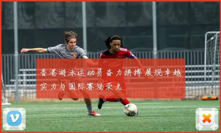 香港游泳运动员奋力拼搏 展现卓越实力与国际赛场荣光