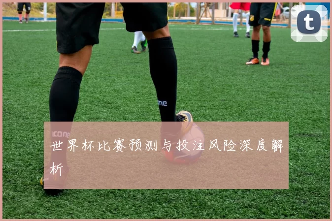 世界杯比赛预测与投注风险深度解析