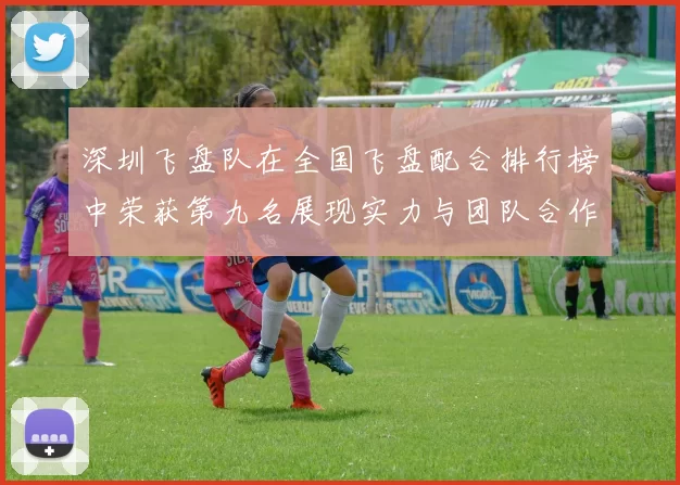 深圳飞盘队在全国飞盘配合排行榜中荣获第九名展现实力与团队合作精神