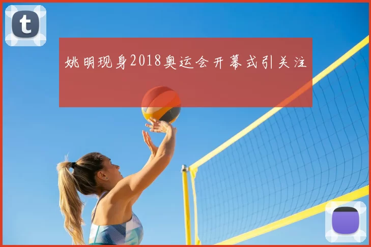 姚明现身2018奥运会开幕式引关注