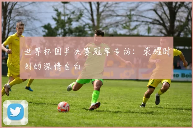 世界杯国乒决赛冠军专访:荣耀时刻的深情自白
