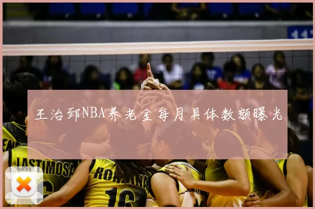 王治郅NBA养老金每月具体数额曝光