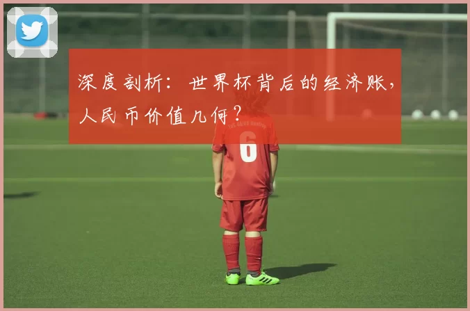 深度剖析:世界杯背后的经济账,人民币价值几何?