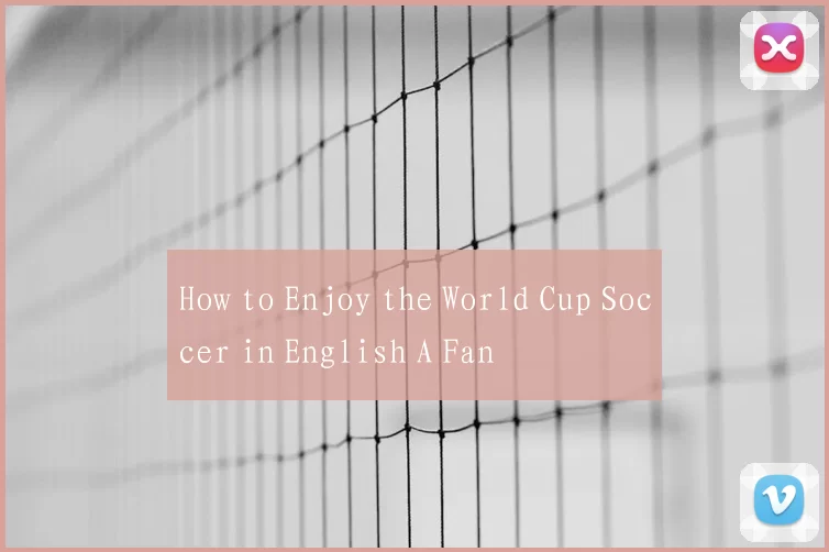 How to Enjoy the World Cup Soccer in English A Fan
