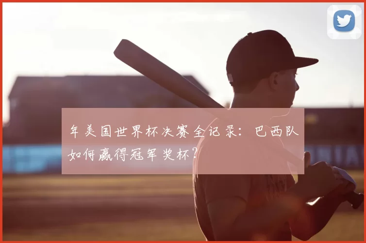 年美国世界杯决赛全记录:巴西队如何赢得冠军奖杯?