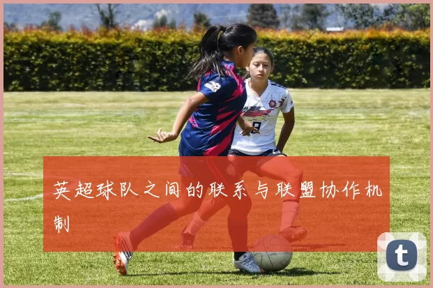 英超球队之间的联系与联盟协作机制